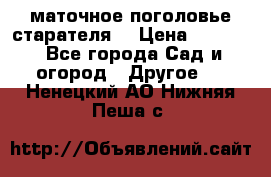 маточное поголовье старателя  › Цена ­ 3 700 - Все города Сад и огород » Другое   . Ненецкий АО,Нижняя Пеша с.
